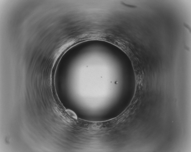 X0000101170148200807071229