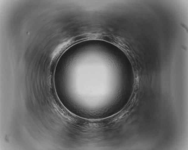 X0000101170149200807071229