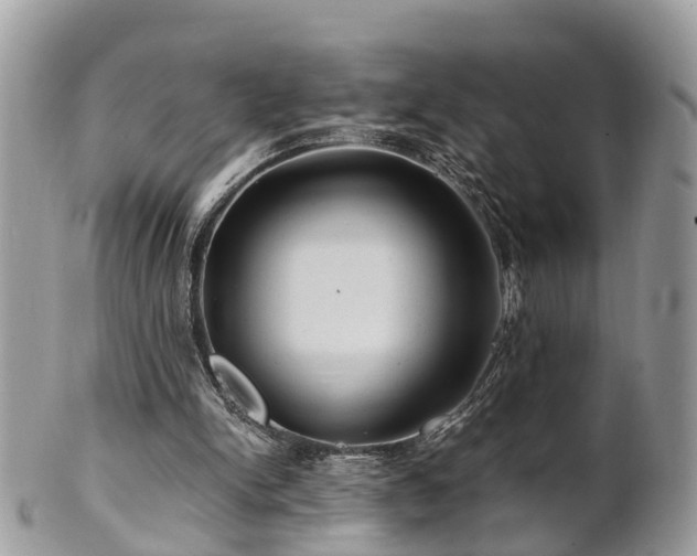 X0000101170150200807071229