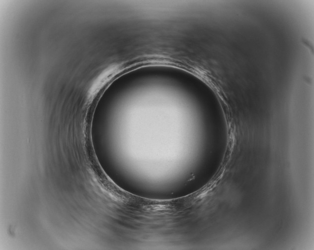 X0000101170151200807071229