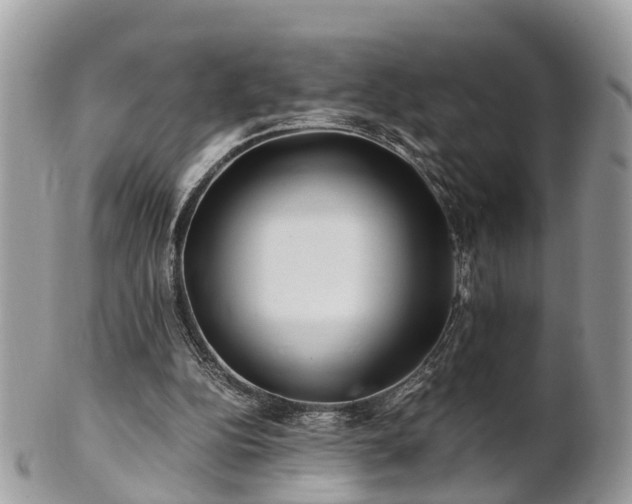 X0000101170152200807071229