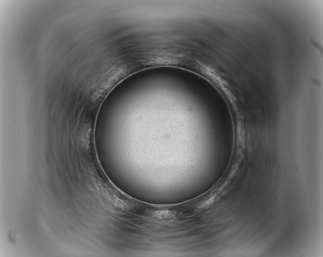 X0000101170153200807071229