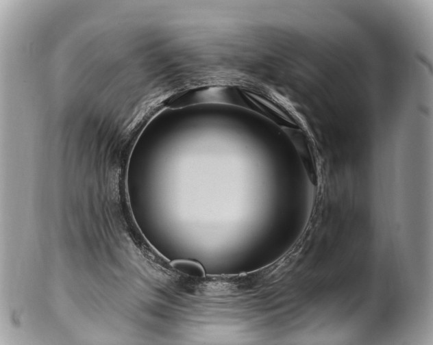 X0000101170154200807071229
