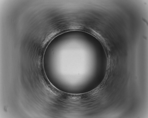 X0000101170155200807071229