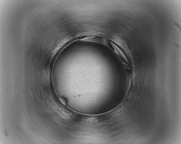 X0000101170156200807071229