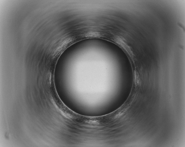 X0000101170157200807071229