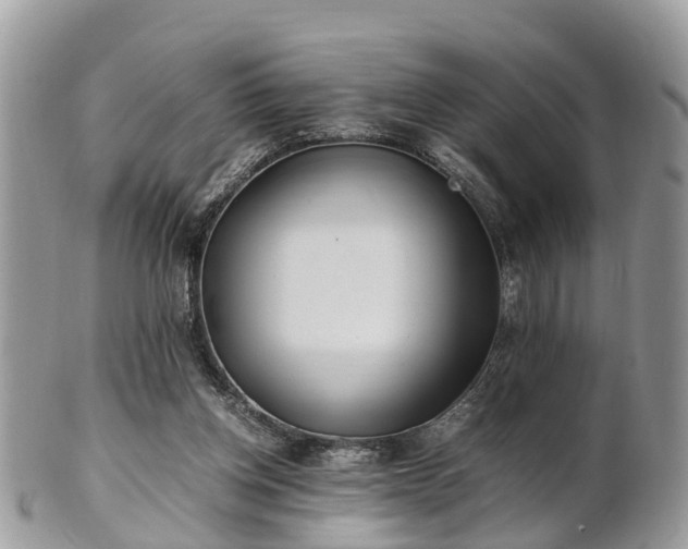 X0000101170158200807071229