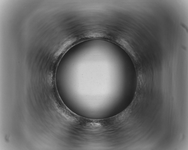 X0000101170159200807071229