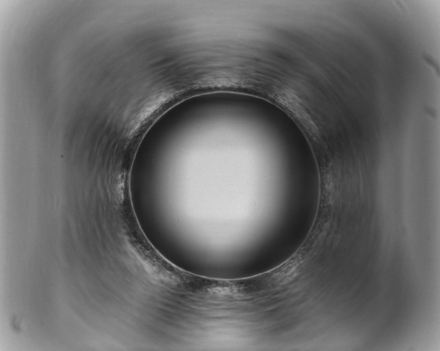 X0000101170160200807071229