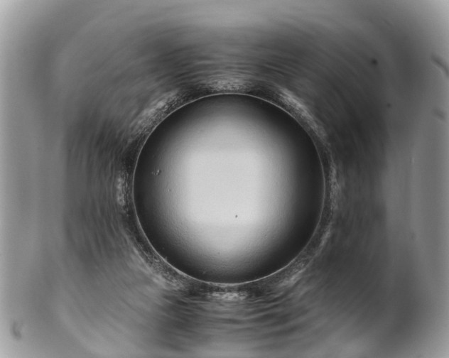 X0000101170161200807071229