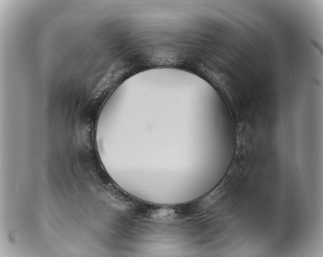 X0000101170162200807071229