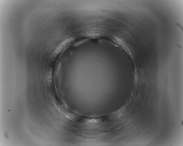 X0000101170163200807071229