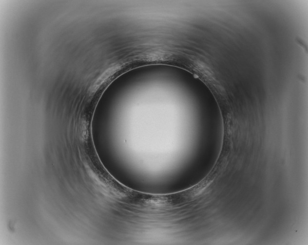 X0000101170164200807071229
