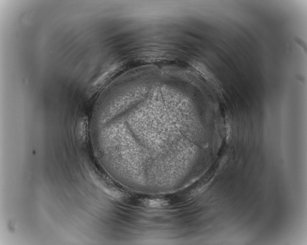 X0000101170165200807071229