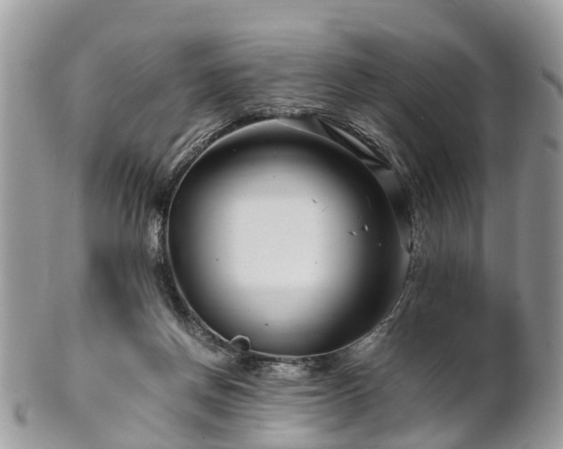 X0000101170166200807071229
