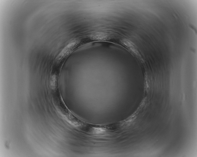 X0000101170167200807071229