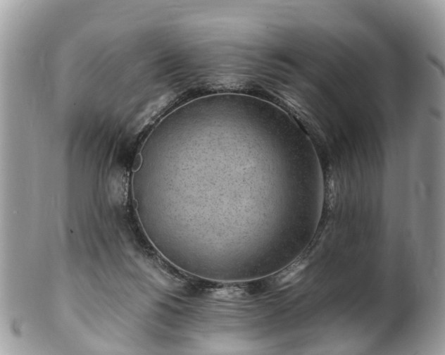 X0000101170168200807071229