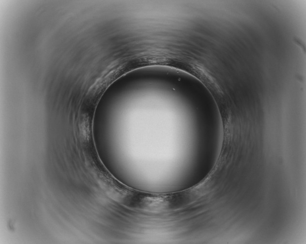 X0000101170170200807071230