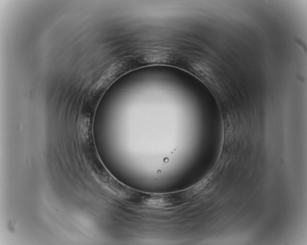 X0000101170171200807071230