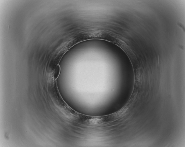X0000101170172200807071230