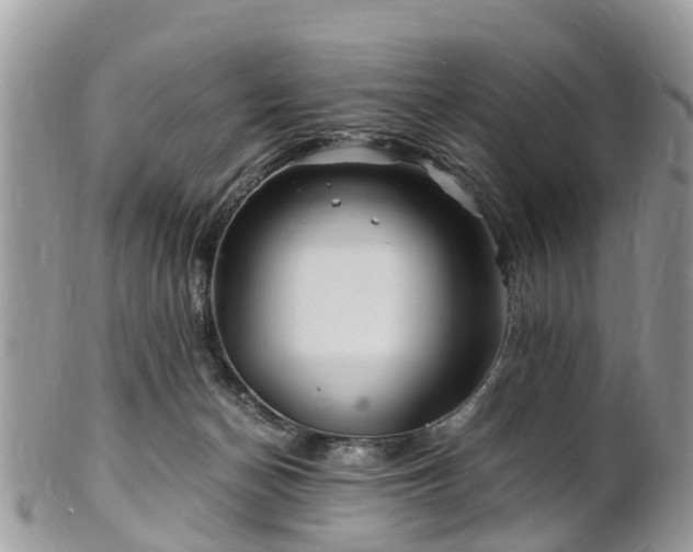 X0000101170174200807071230