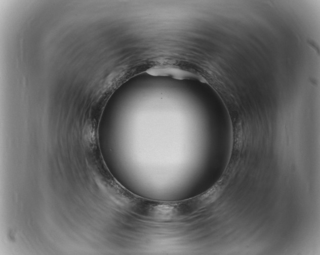 X0000101170176200807071230