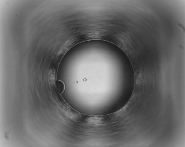 X0000101170179200807071230