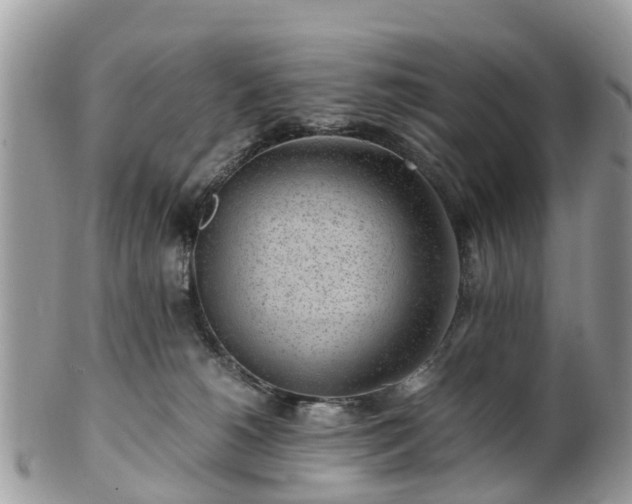 X0000101170180200807071230