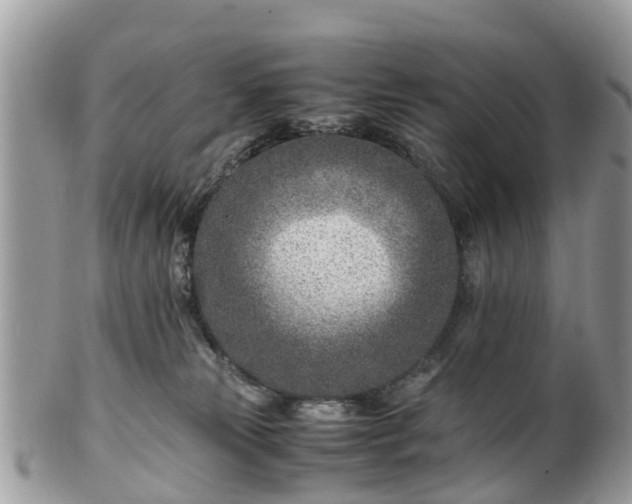 X0000101170181200807071230