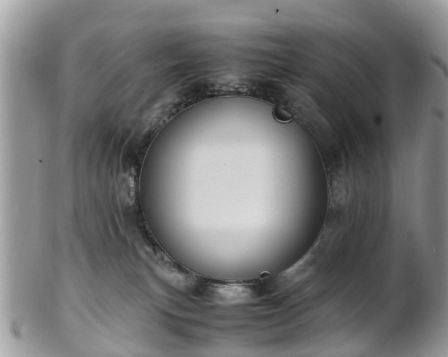 X0000101170183200807071230