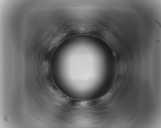 X0000101170184200807071230