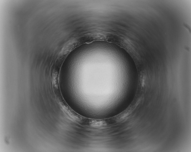 X0000101170185200807071230