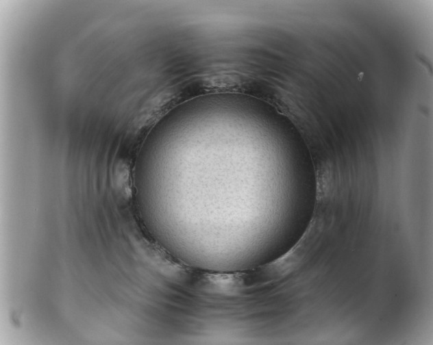 X0000101170187200807071230