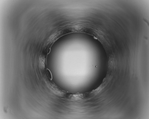 X0000101170188200807071230