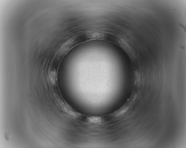 X0000101170189200807071230