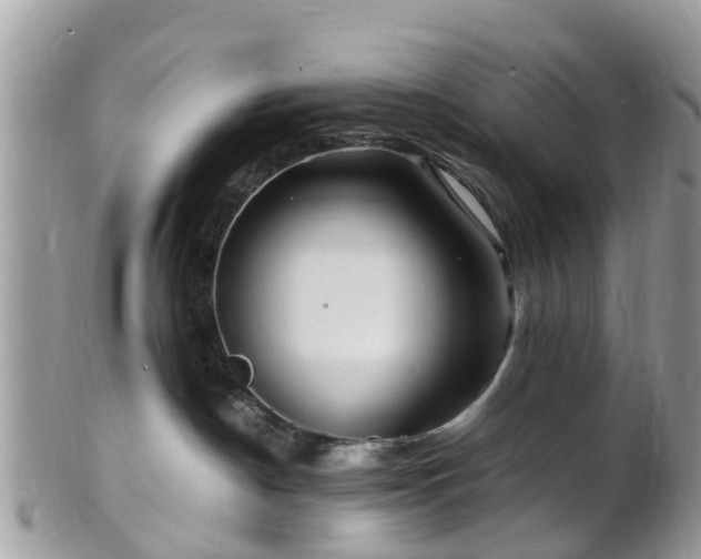 X0000101170190200807071230