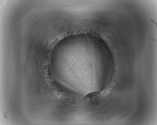 X0000101170192200807071230