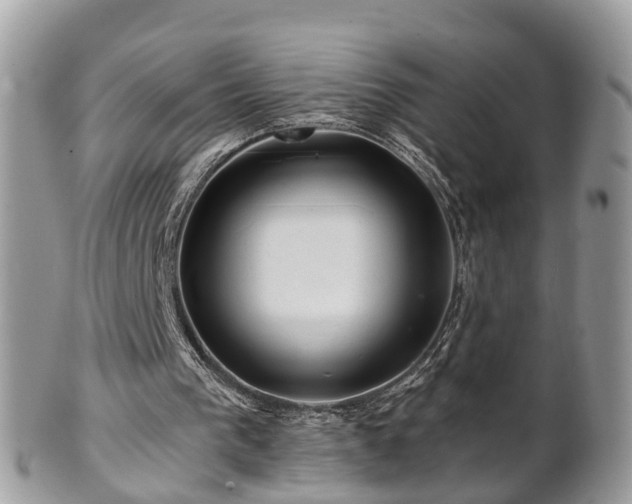 X0000101170193200807071229