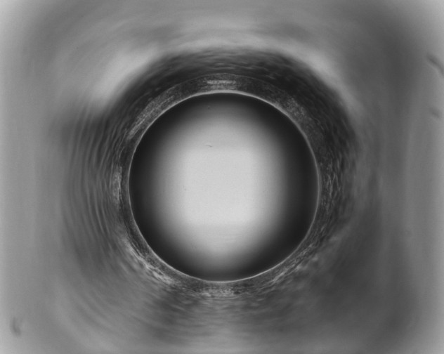 X0000101170194200807071229