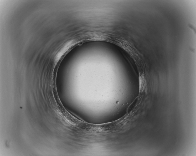 X0000101170195200807071229