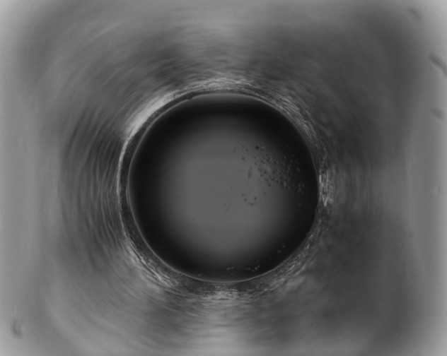 X0000101170196200807071229