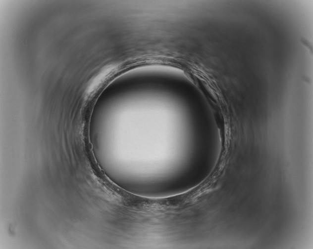 X0000101170197200807071229