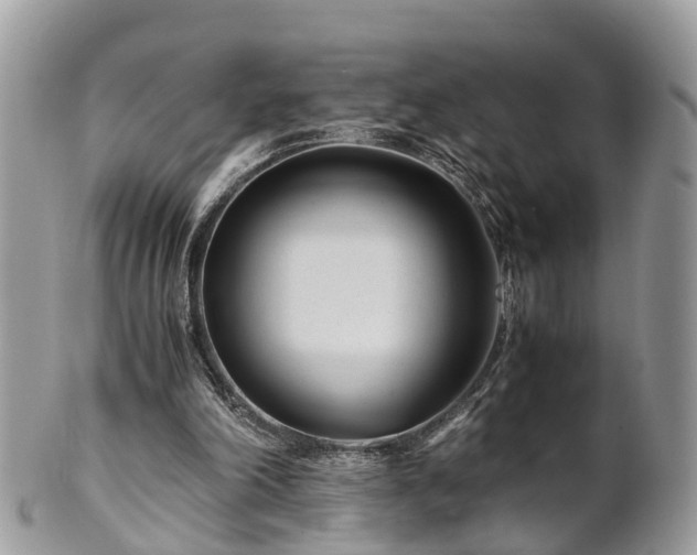 X0000101170198200807071229