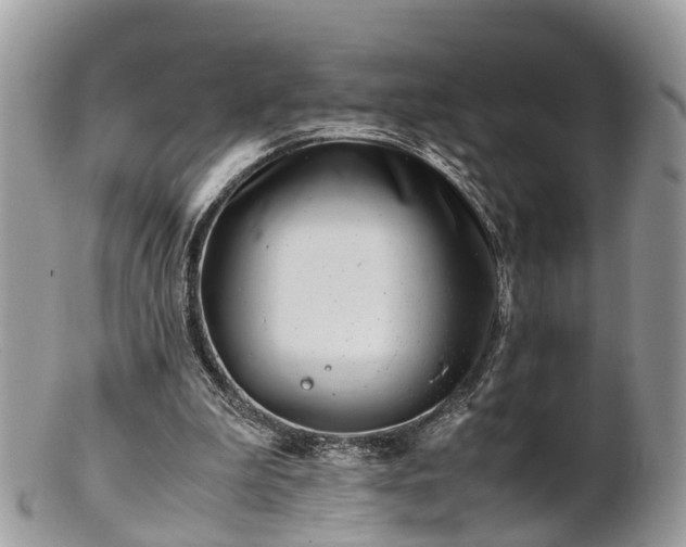 X0000101170199200807071229