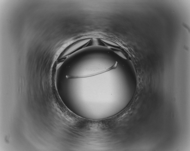 X0000101170200200807071229