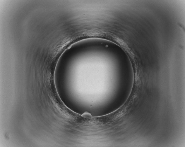 X0000101170201200807071229