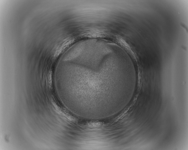 X0000101170202200807071229