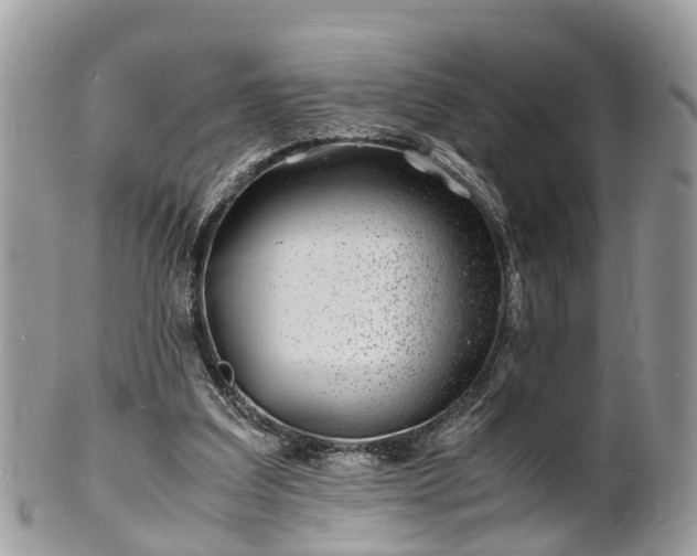 X0000101170203200807071229