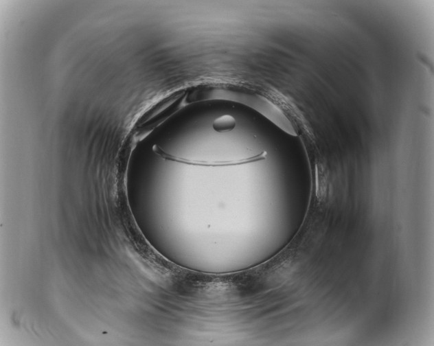 X0000101170204200807071229