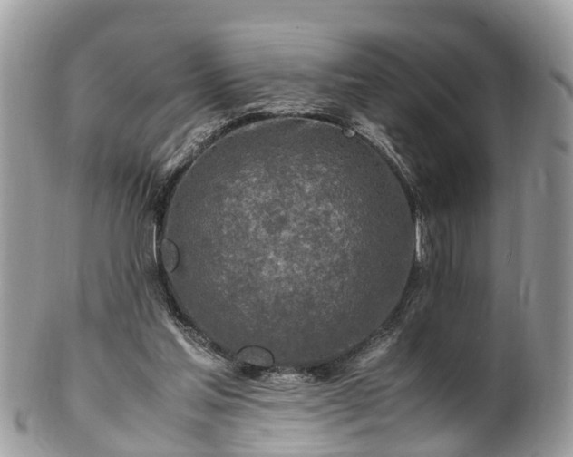 X0000101170205200807071229